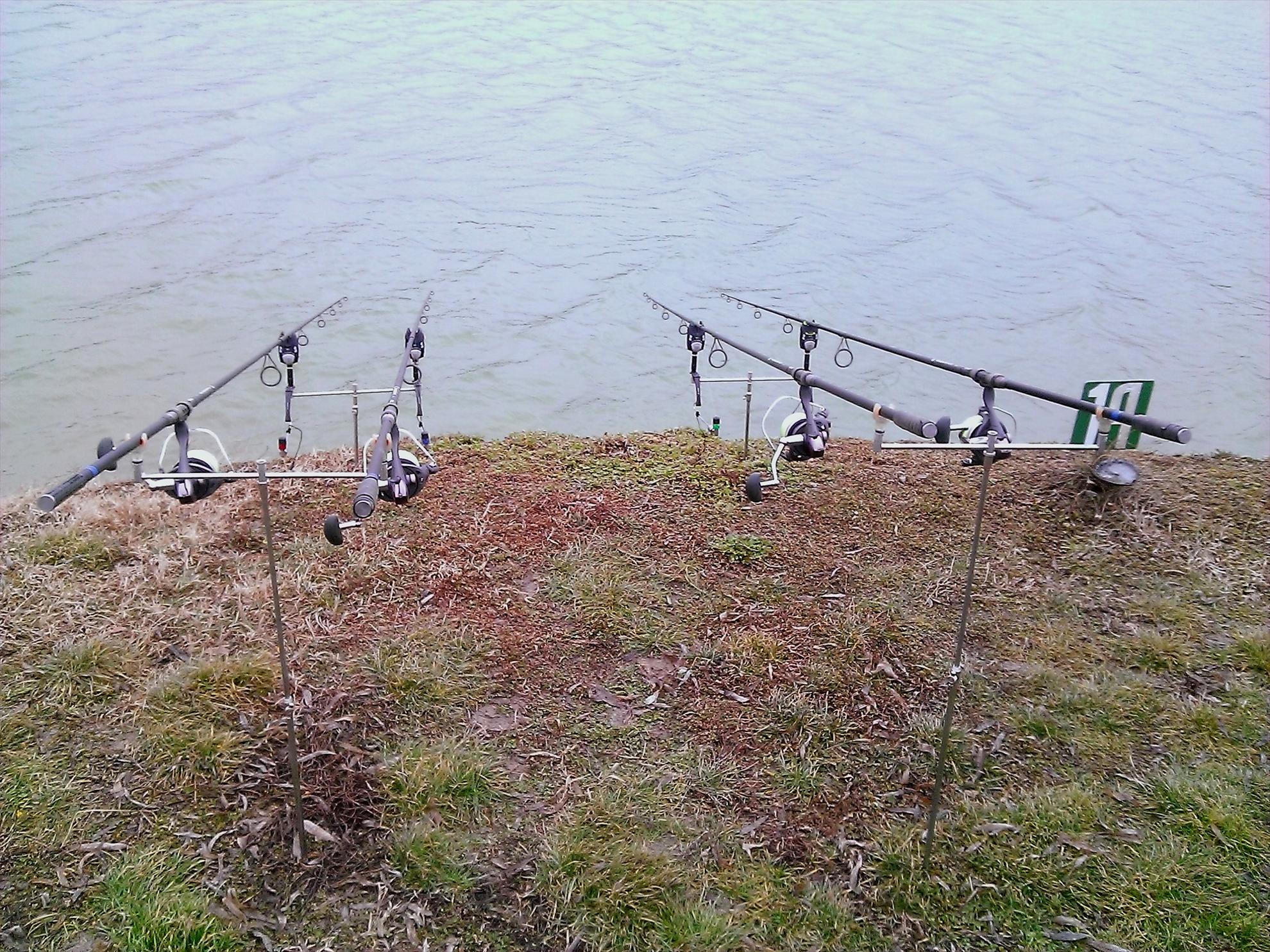 Floarea Popestiului 23 - 23 feb. - wp20130223006.jpg